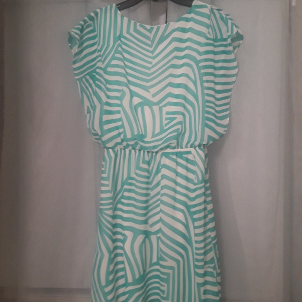 Needle & Thread Teal And White Zebra Print Dress - image 4